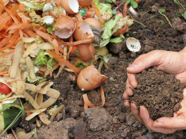 Hands are holding composted earth.