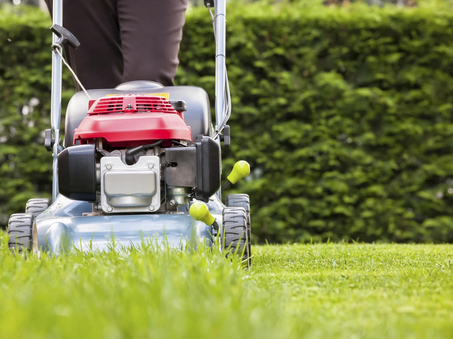 Mowing the grass