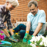 Senior Cheerful Couple planting a flower in a back or front yard together. They are happy to spending time together.