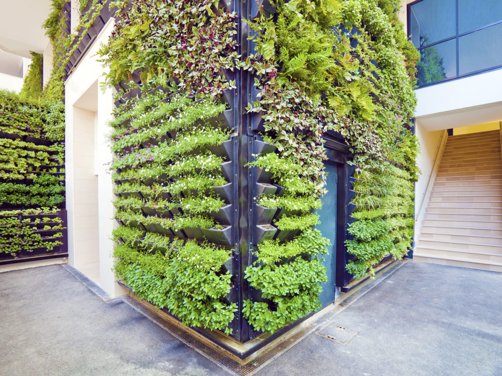 Living Walls &amp; Vertical Gardens - Dr. Weil's Garden