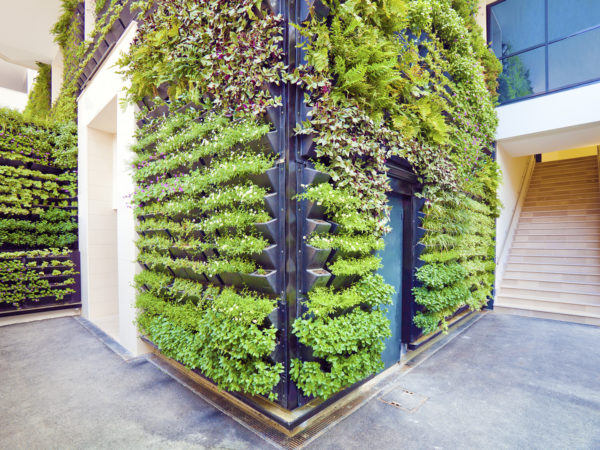 Living Walls &amp; Vertical Gardens | Gardening | Andrew Weil, M.D.