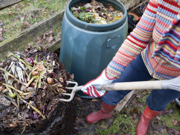 &quot;Woman gardener using garden fork to first remove uncomposted food waste from top of composting bin pile, before spreading the compost below onto a vegetable garden.&quot;