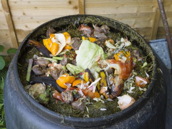 Fruit and vegetable peelings, eggshells, tea bags and grass cuttings can all be recycled for the garden.