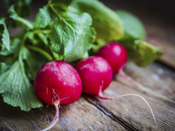 Radishes on rustic wooden background