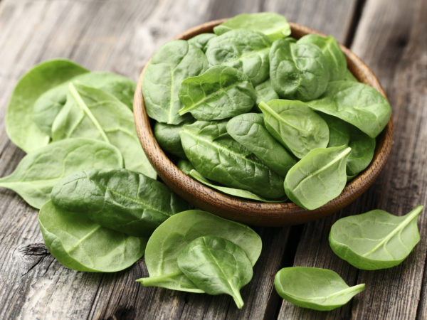 Fresh spinach on a wooden background