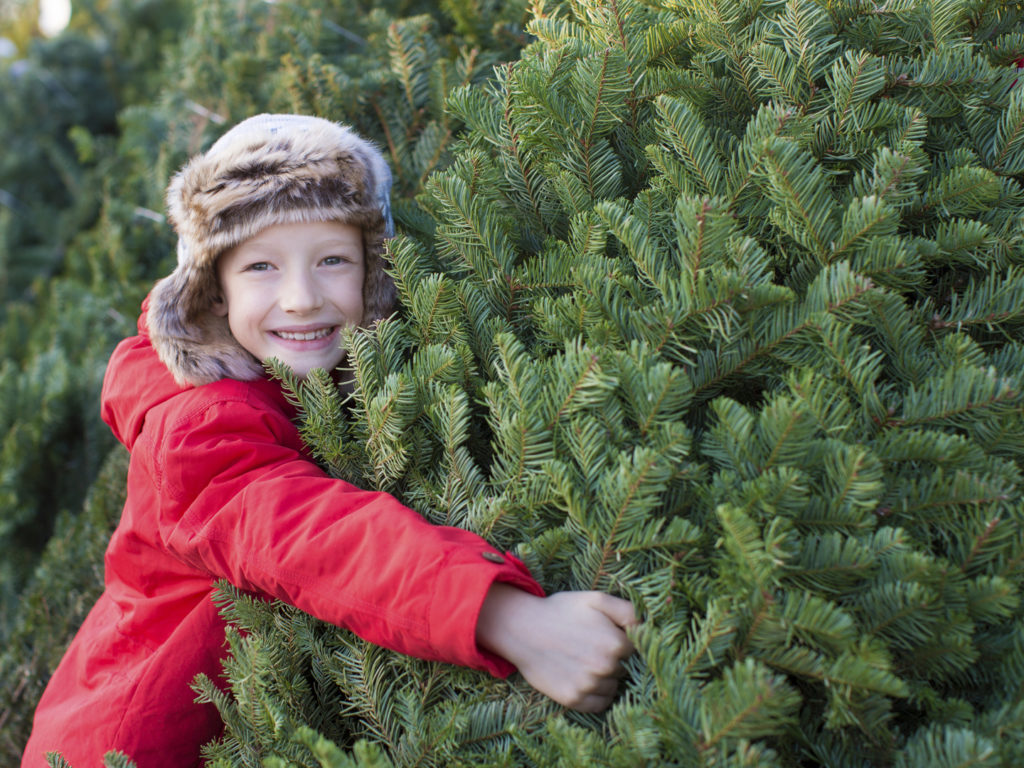 happy child holding christmas tree at christmas market at cold winter