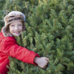 A Greener Christmas Tree? | Healthy Home | Andrew Weil, M.D.