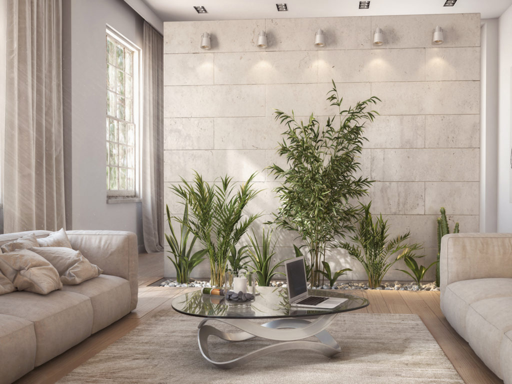 creating a sanctuary