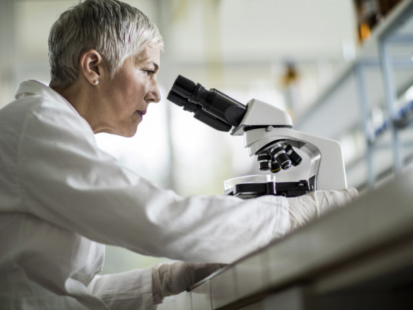 Low angle view of a mature scientist looking through a microscope in a laboratory.