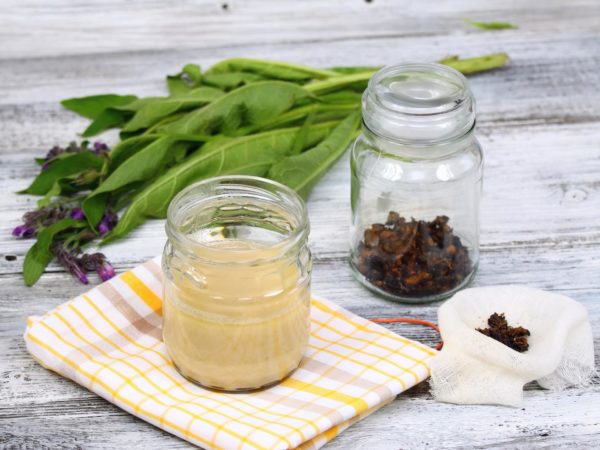 Fresh comfrey and dried comfrey roots are  around