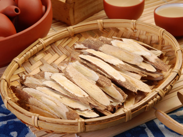 Traditional Chinese Medicine - Astragalus root  (Astragalus membranaceus)