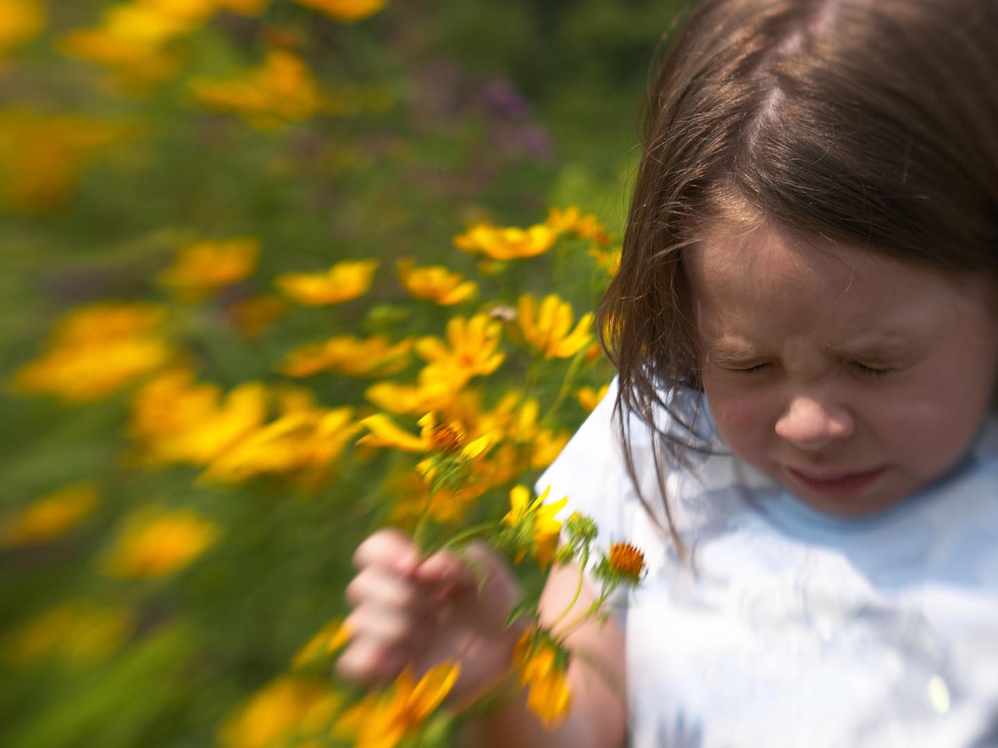 Girl sneezing in field of flowers