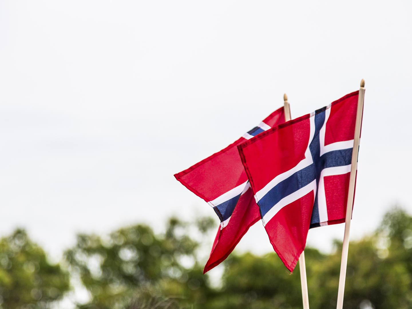 Two Norwegian flags blowing in the wind. The flag of Norway is red with an indigo blue Scandinavian cross fimbriated in white that extends to the edges of the flag; the vertical part of the cross is shifted to the hoist side in the style of the Dannebrog, the flag of Denmark.