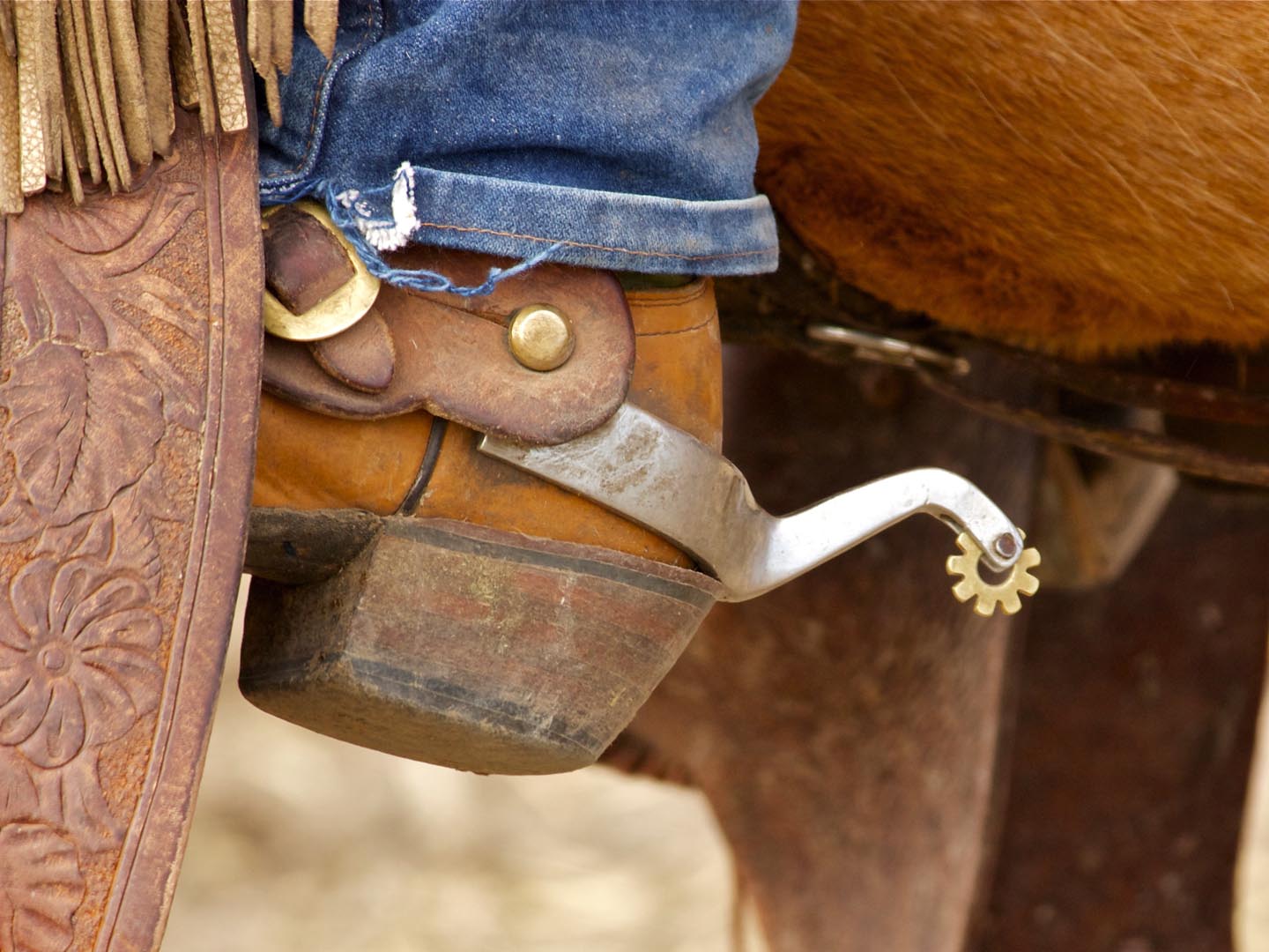 A western spur on a cowboy boot.