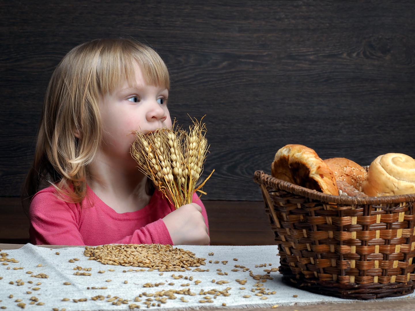 Child grain oats and wheat. Ears of wheat in the bread basket