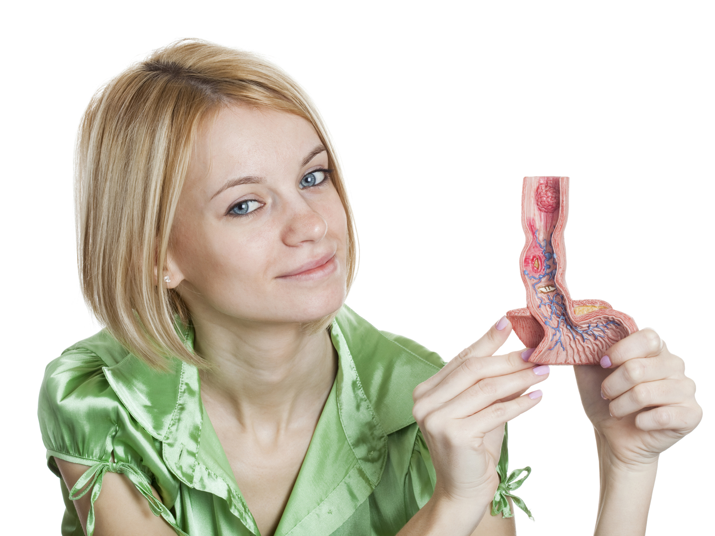 &quot;A young female holding anatomical model of a frontal section of the lower part of the oesophagus from normal to columnar oesophageal epithelium.  Also part of the upper part of the stomach is shown. The model shows the following illnesses: reflux oesophagitis, ulcus, Barrettaas Ulcer, Oesophageal carcinoma, Oesophageal varices and hiatal hernia.  Studio environment. White background.&quot;