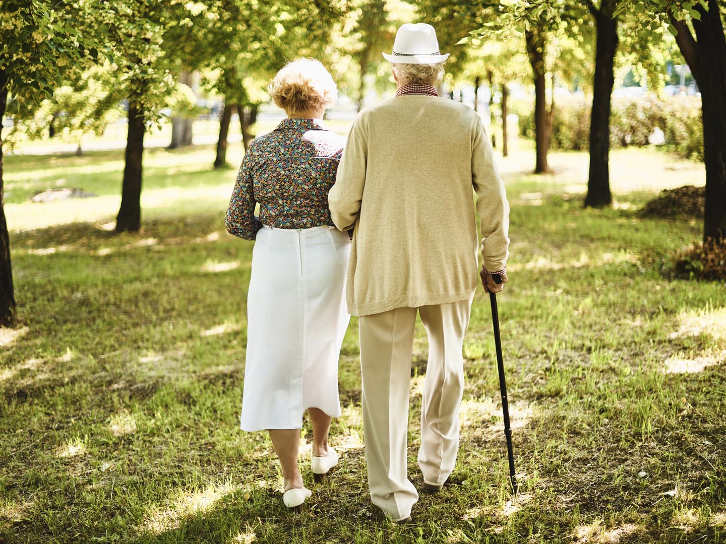 Happy seniors taking a walk in the park on sunny day