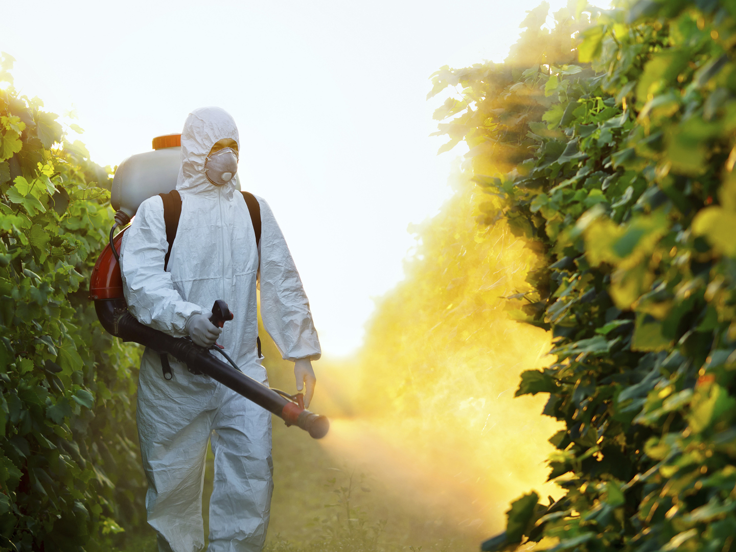 pesticide cause depression