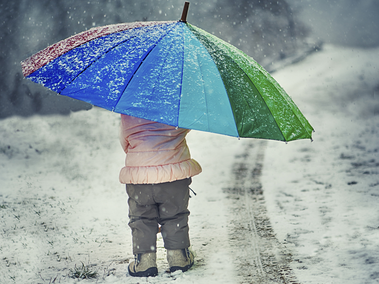 Little Girl With Umbrella in a Winter Cloudy Day