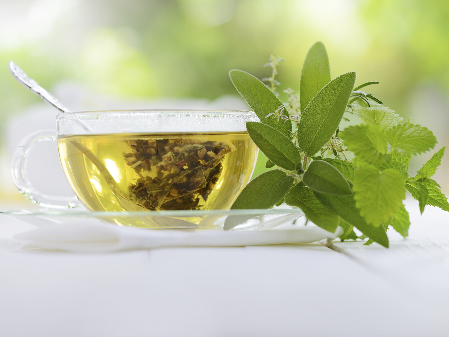 Herbal tea in a teabag with herbal leaves