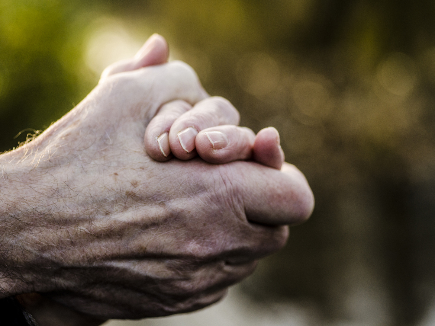 Senior married couple holding hands in nature closeup