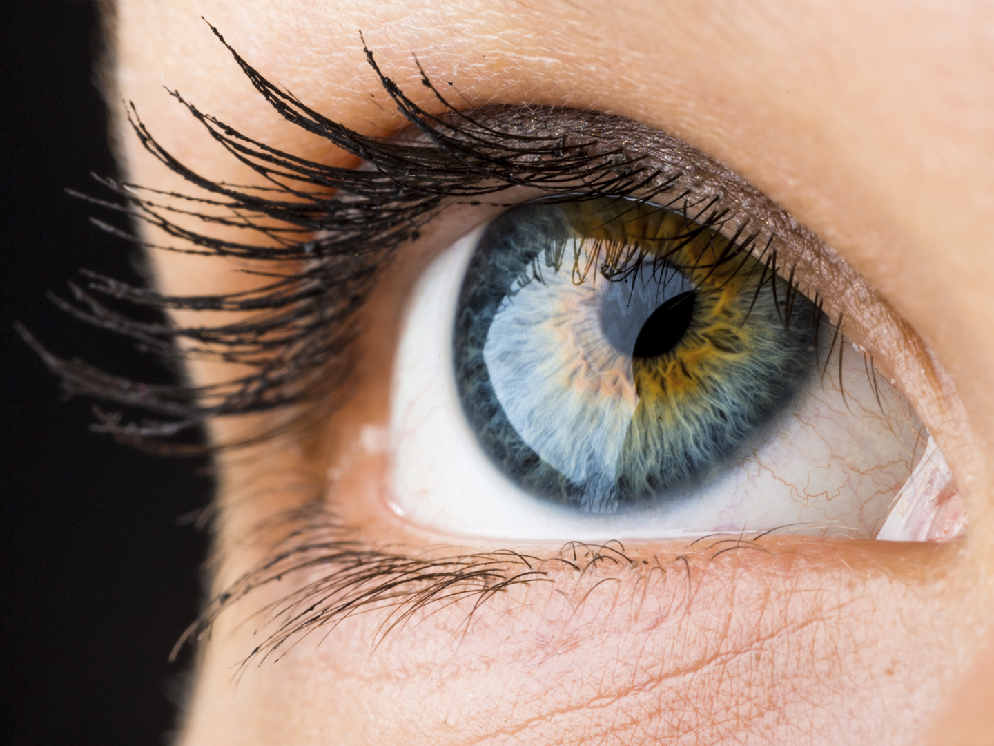 beautiful macro of an eye looking up