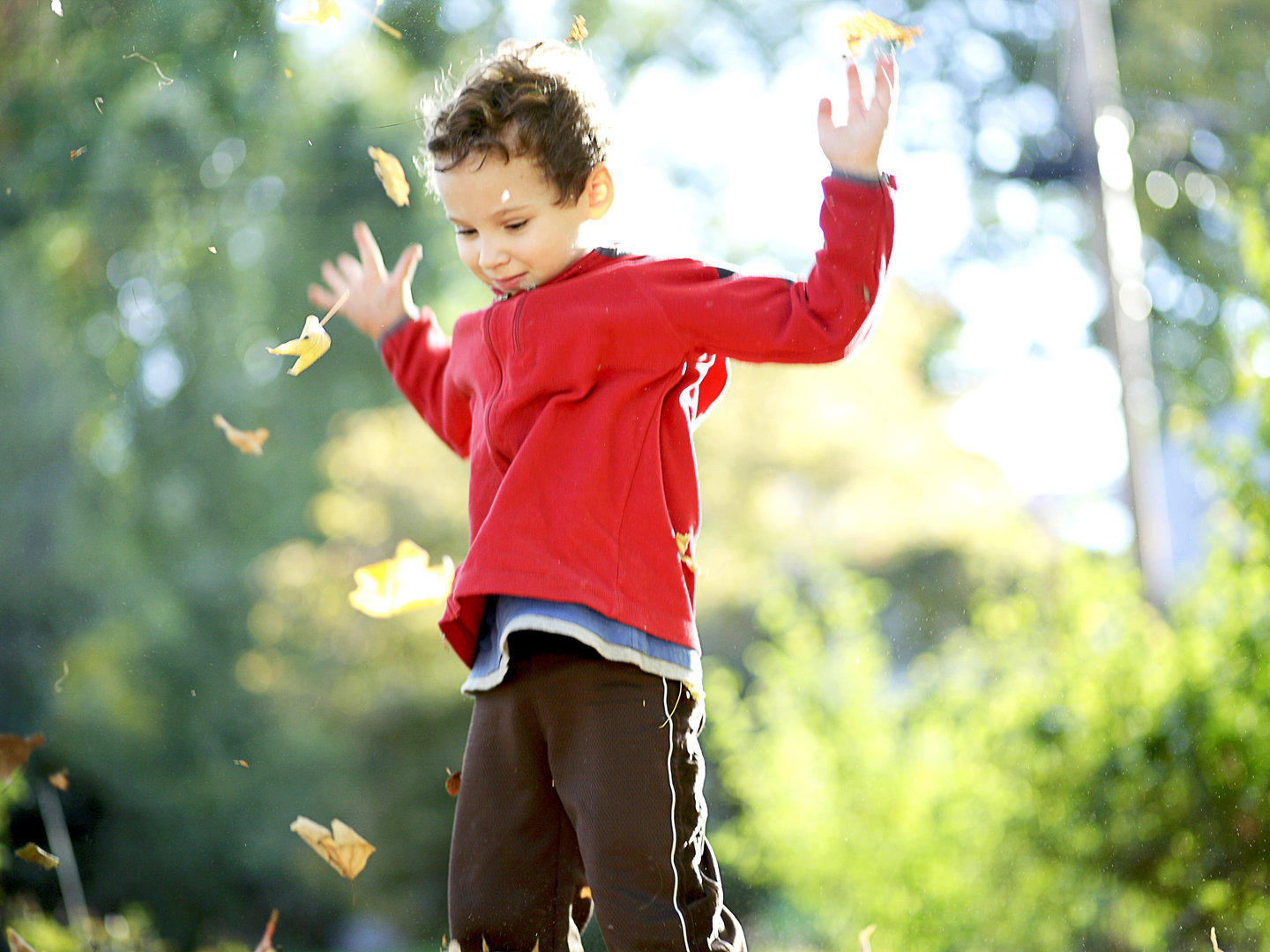 Action shot of boy tossing autumn leaves up into the air. The colors of the leaves are so colorful, the crunch and crackle of the leaves sounds so good and it is so much fun to watch the leaves float to the ground.