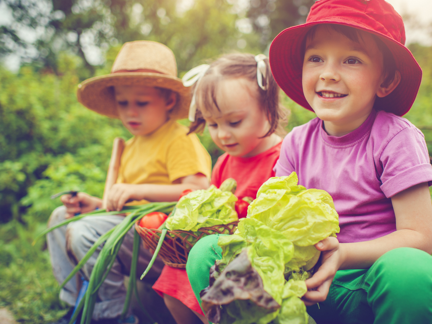 Little boyы and girl with vegetables on a farm