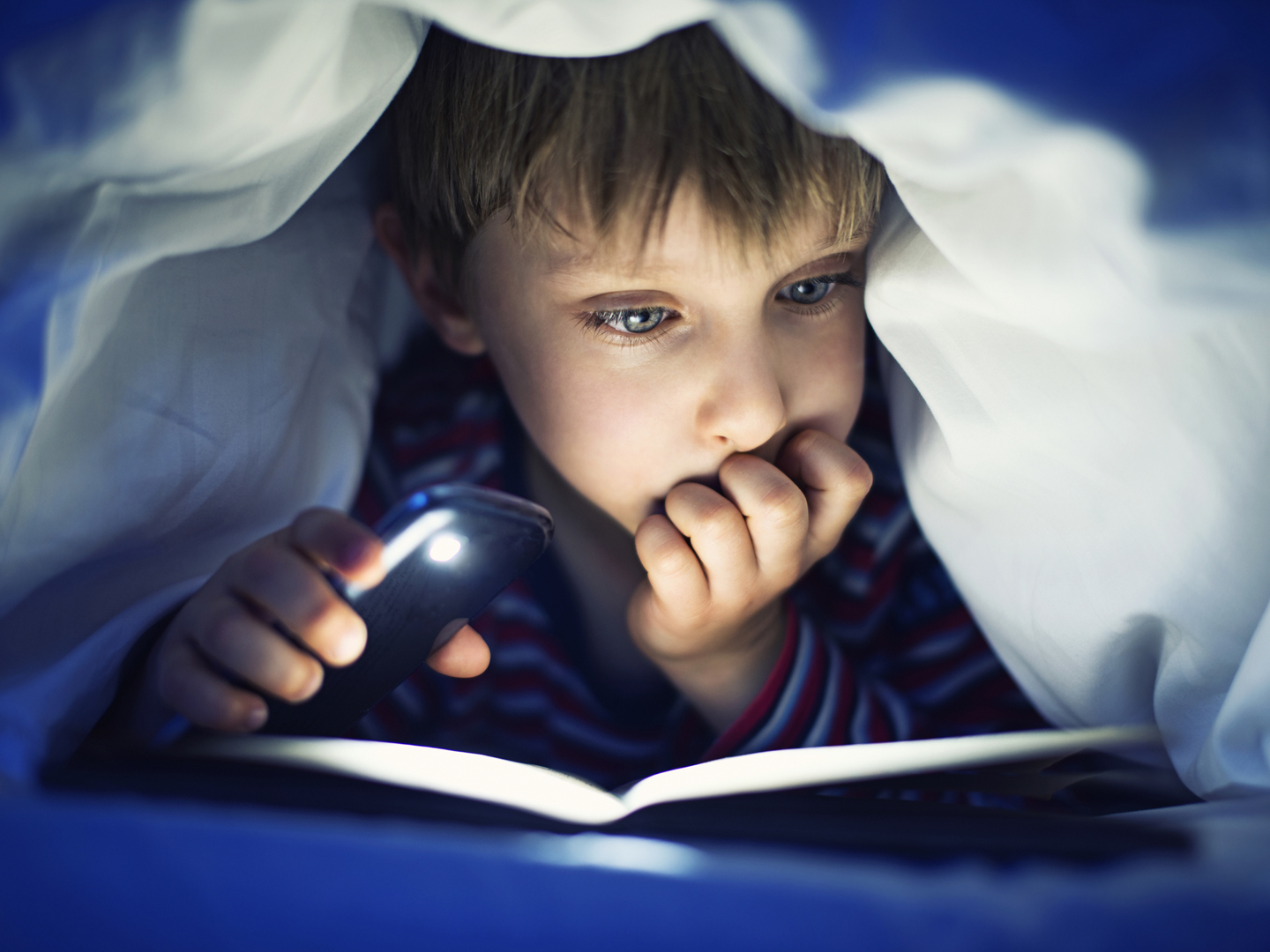 Little boy aged 5 is secretly reading book under sheets using mobile light. The book is very interesting and the boy is quite lost in it.