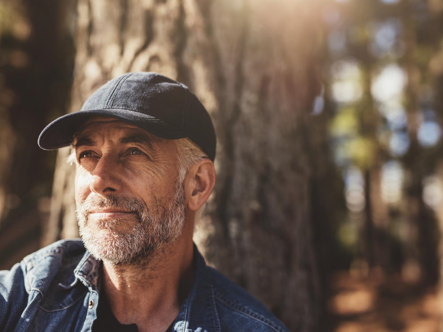 Close up portrait of senior man wearing cap looking away. Mature man with beard sitting in woods on a summer day.