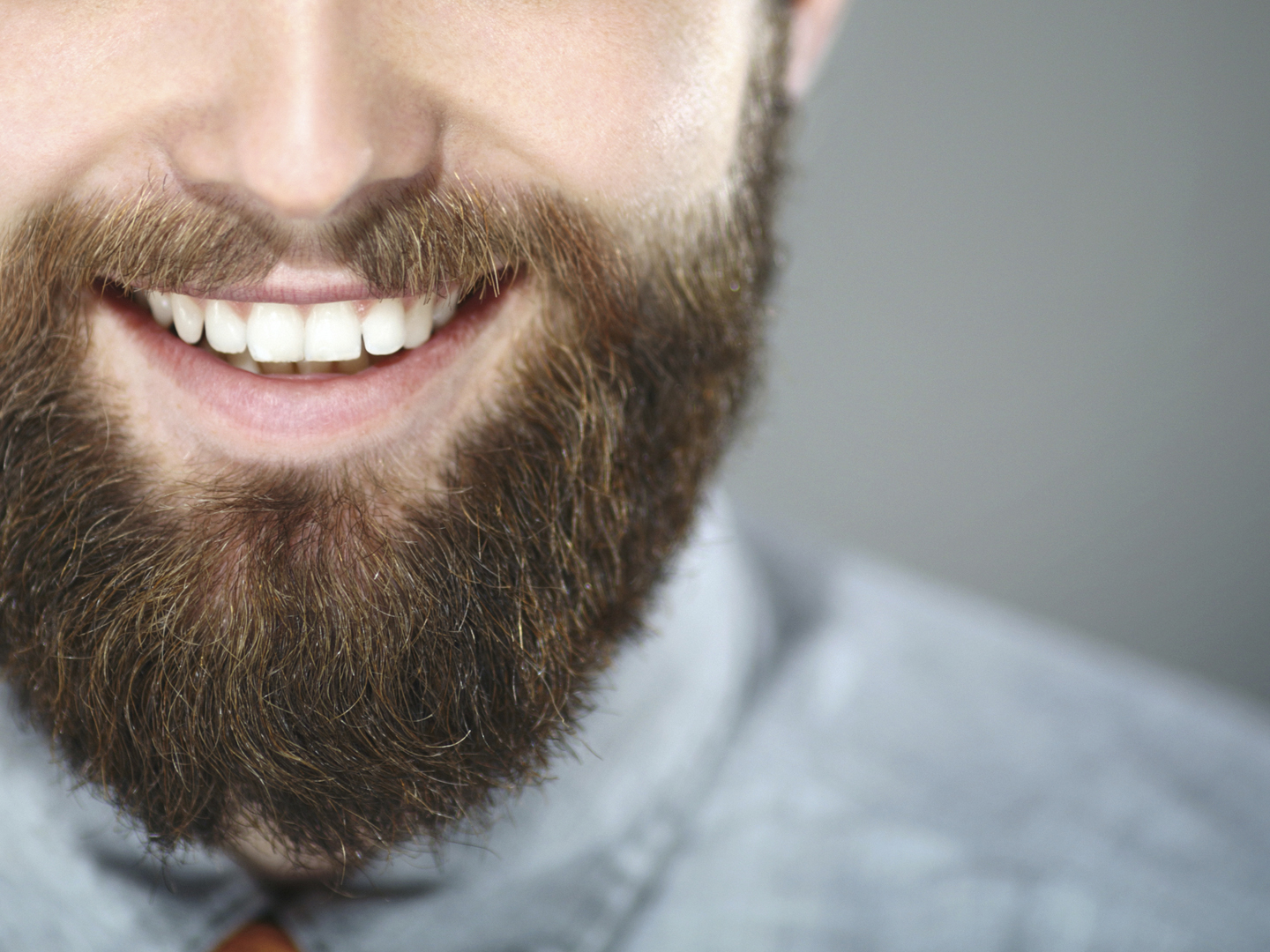 Closeup portrait of smiling unrecognizable bearde man. He&#039;s facing the camera and smiling with perfect set of teeth. Wearing light blue smart casual shirt. Shot oer gray background.