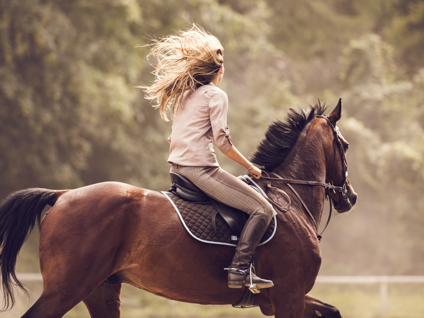 Young woman ridding a stallion in nature.