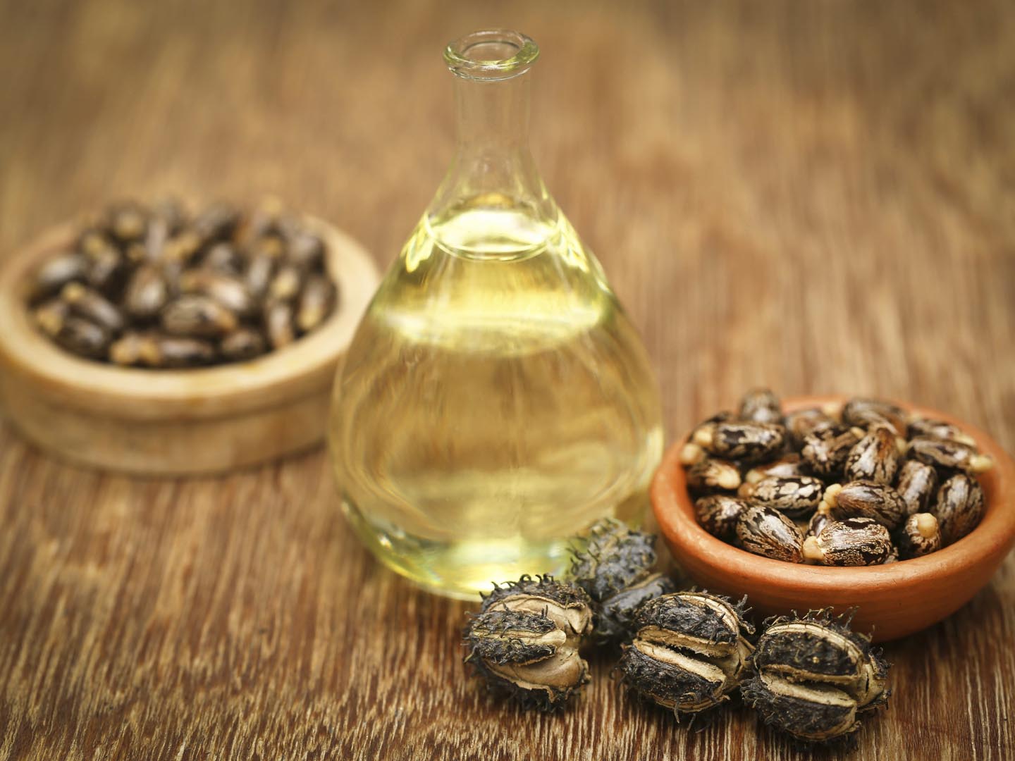 Castor beans and oil in a glass jar
