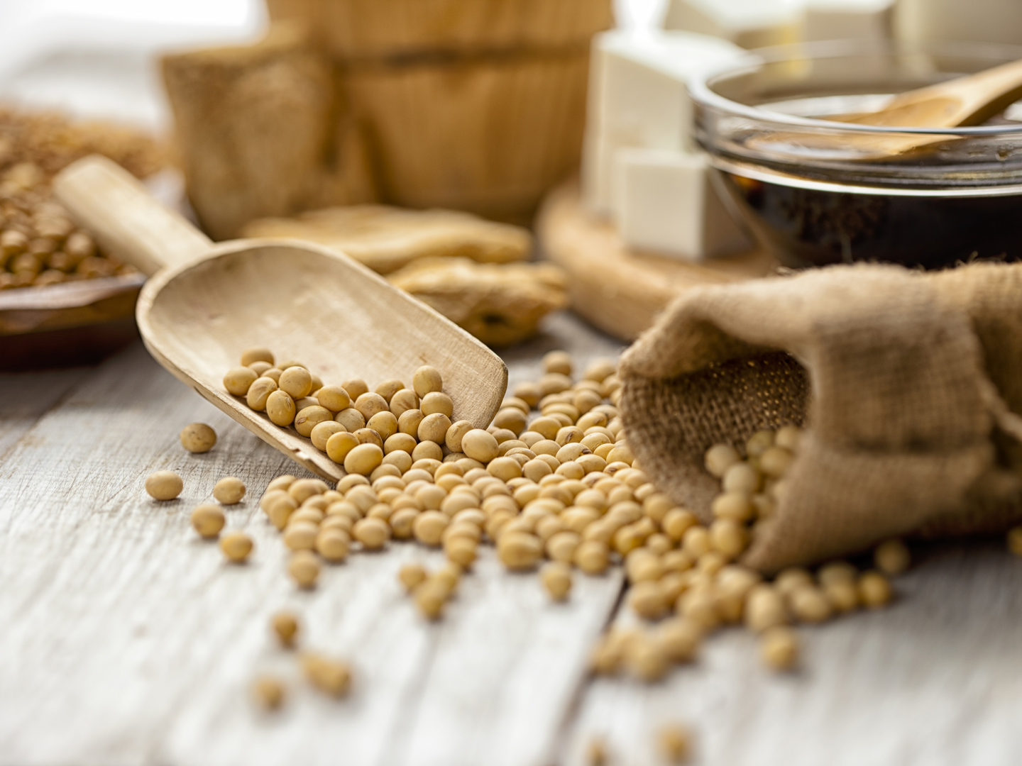 Soy beans on the wooden table