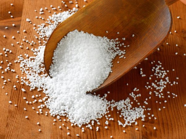 Iodized Salt Or Non