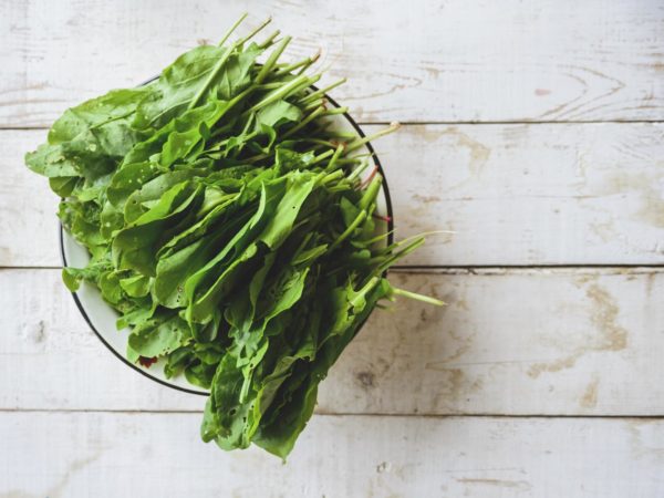 freshly picked sorrel in a white metal plate