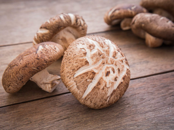 Shiitake mushroom on wooden table