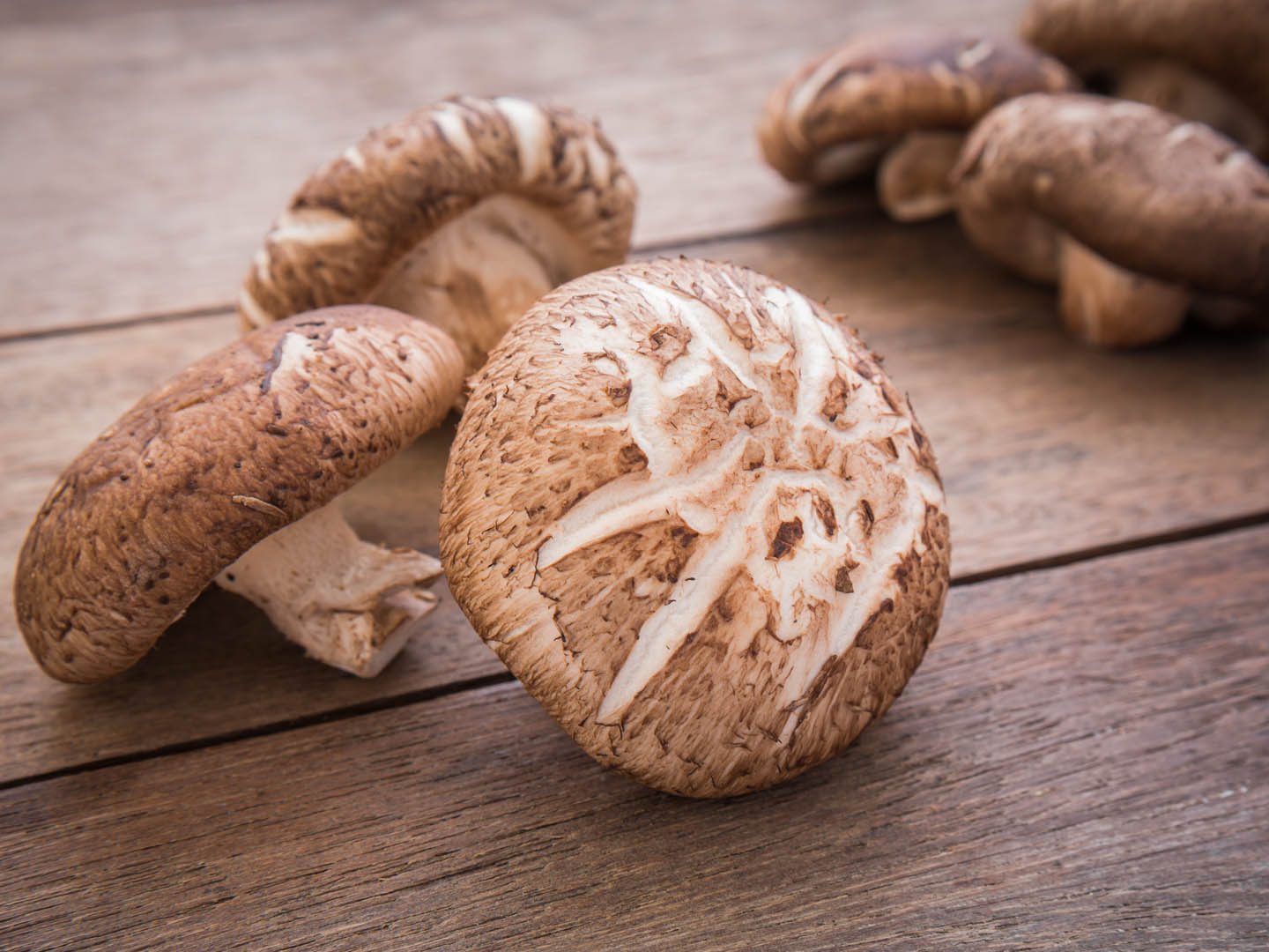 Health Benefits of Mushrooms | Andrew Weil, .