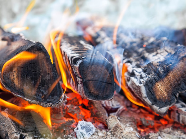 Burning fire wood in the fire