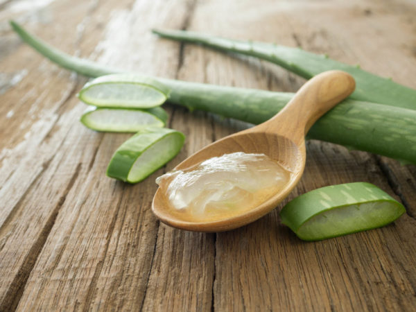 aloe vera gel on wooden spoon with aloe vera on wooden table