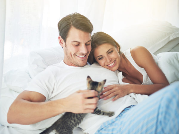 Cropped shot of a young couple relaxing with kitten in their bedroomhttp://195.154.178.81/DATA/i_collage/pi/shoots/783281.jpg