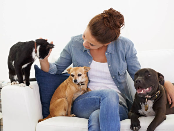 Shot of a beautiful young woman relaxing on the couch with her dog and cathttp://195.154.178.81/DATA/i_collage/pi/shoots/783489.jpg