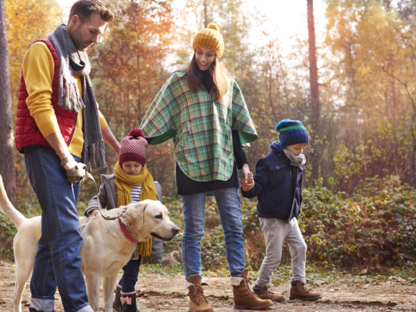 Strong relationship between members of family