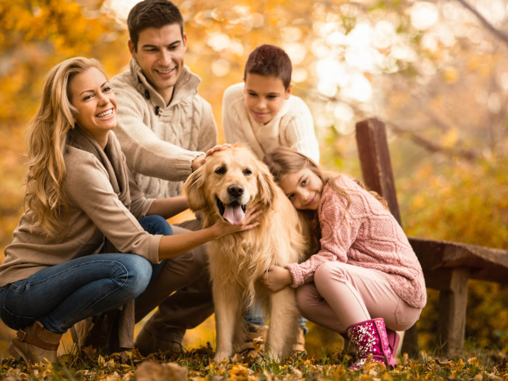 Health Benefits of Companion Animals