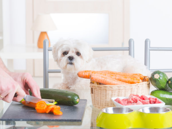 Preparing natural natural, organic food for pets at home