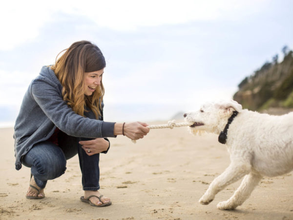Pet owner playing tug of war with her dog on the beach