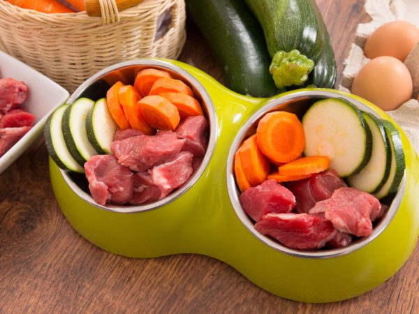 Natural, organic dog&#039;s food in a bowl with ingredients zucchini, carrot and raw meat