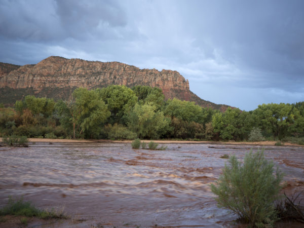 Flood waters flow through  the usually dry Short Creek on the Arizona Strip, nearby the Cottonwood Point  WIlderness, Arizona.