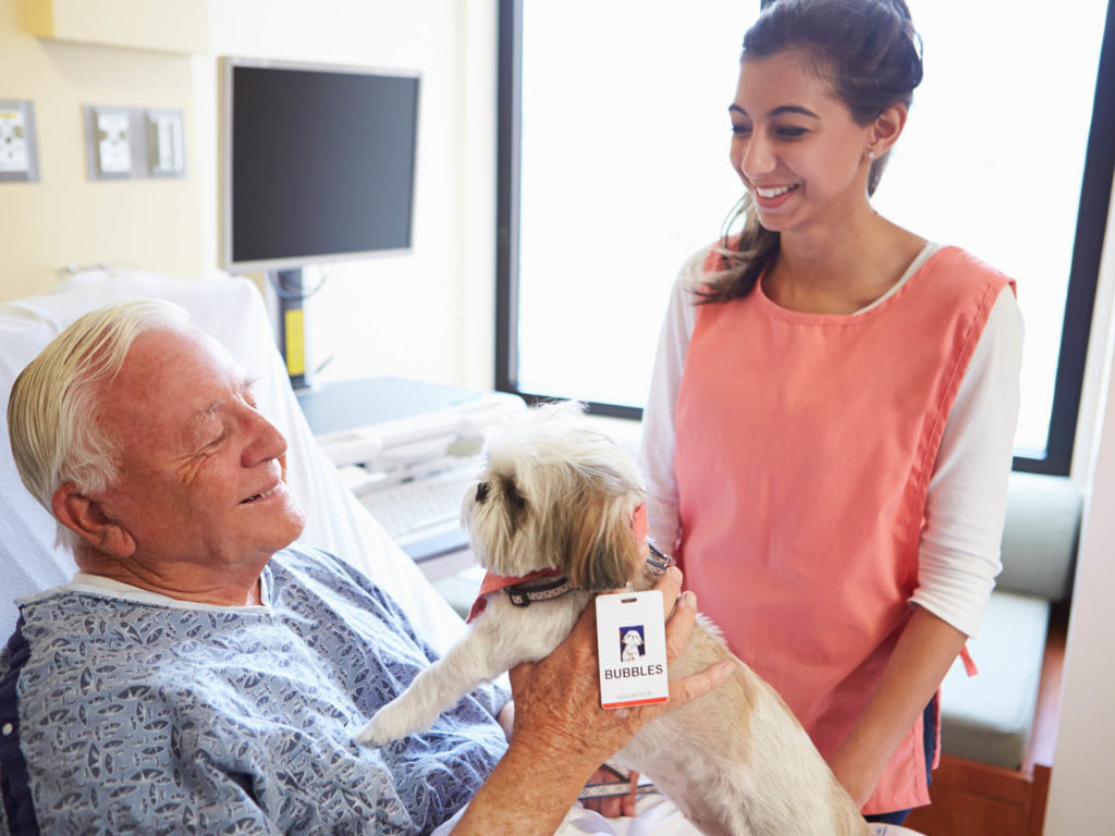animal assisted therapy