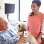 Animal Assisted Therapy | Dr. Weil&#039;s Wellness Therapies